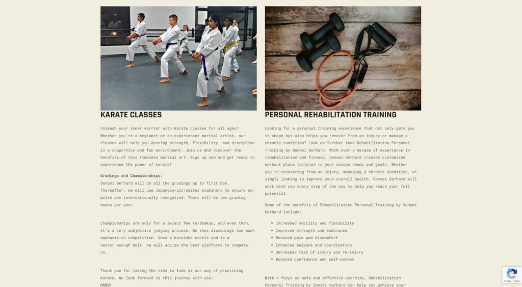Shugoryuu Karate Classes Image